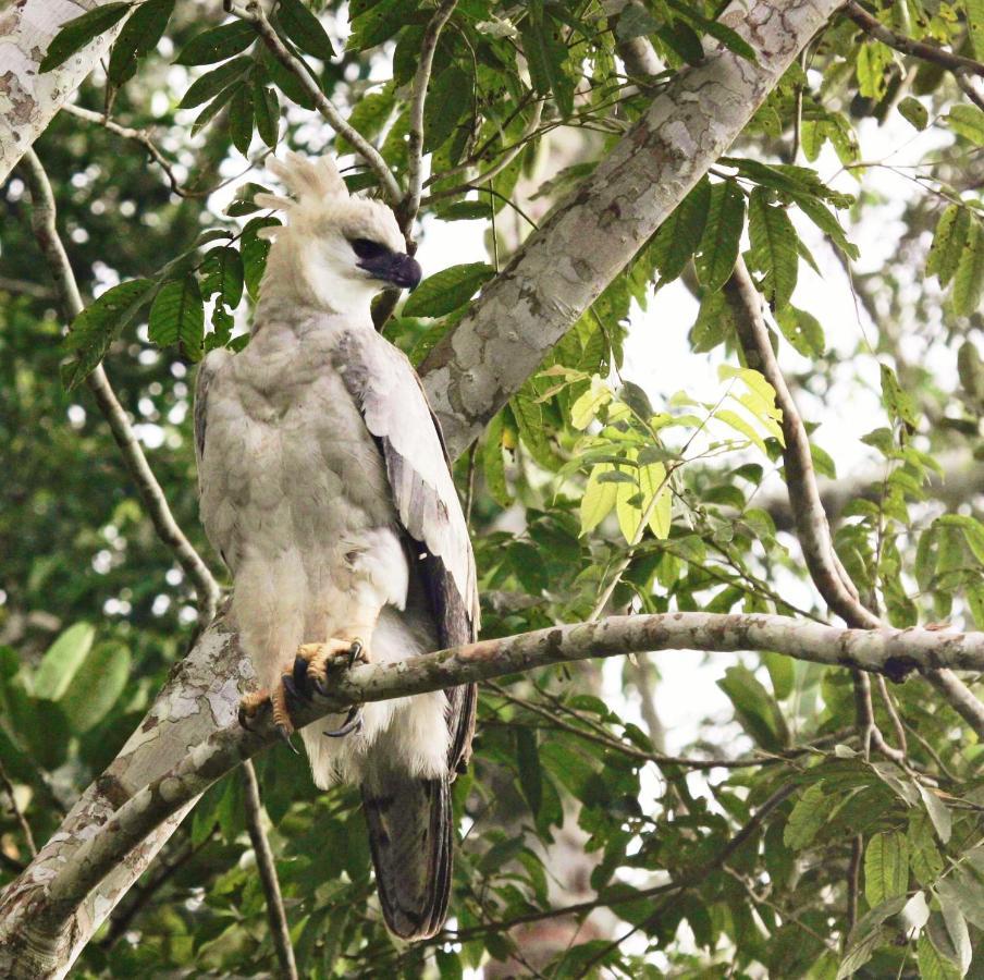 Wasai Tambopata Lodge Экстерьер фото