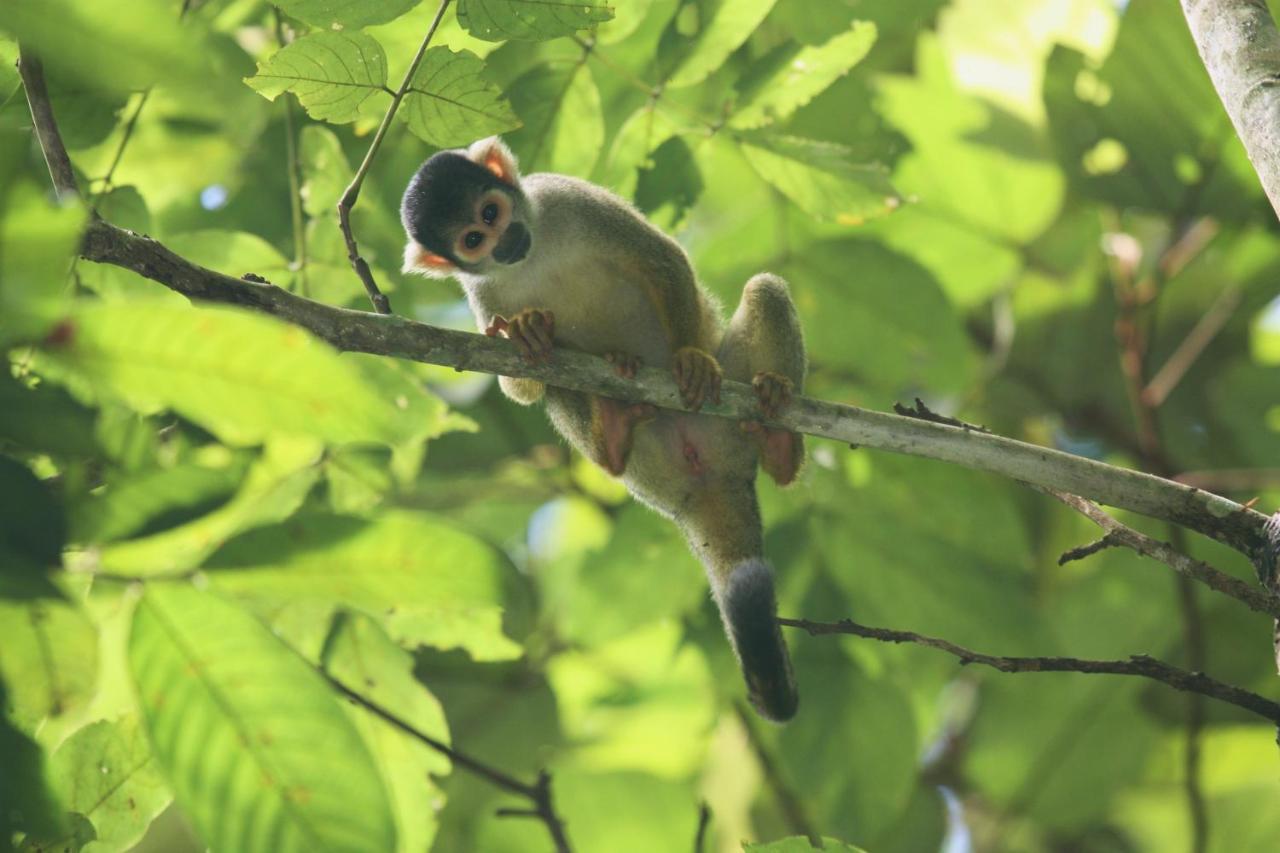Wasai Tambopata Lodge Экстерьер фото