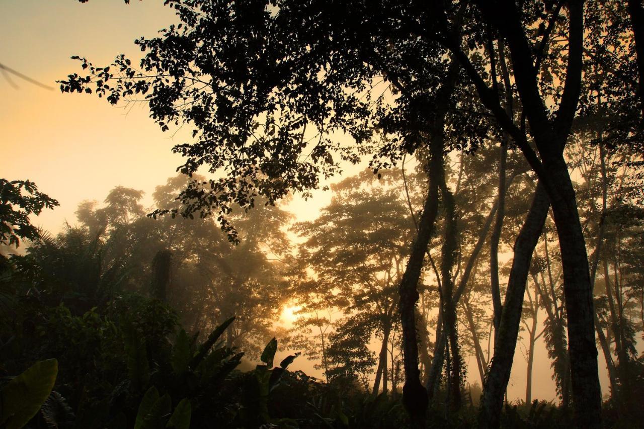 Wasai Tambopata Lodge Экстерьер фото